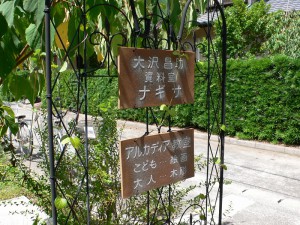L1070405